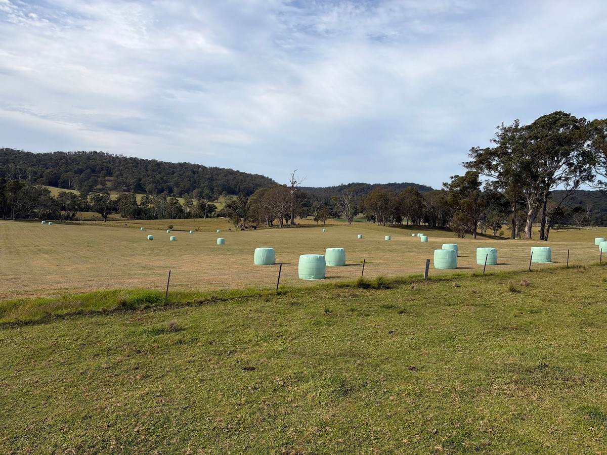 46 Jersey Place, Cobargo For Sale by Farmbuy.com - image 2