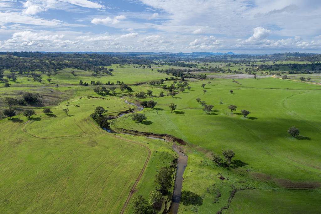 Hillgrove&comma; 2851 Napier Lane, Nombi NSW 2379