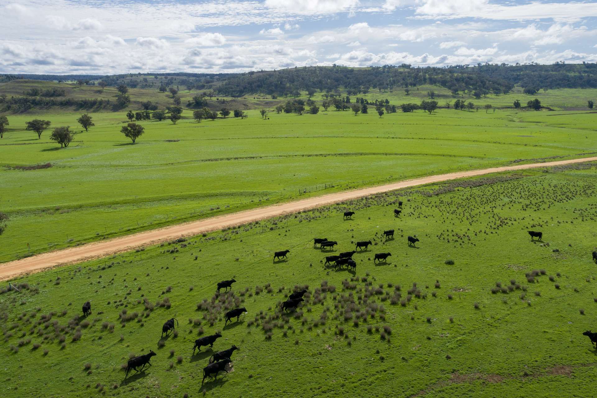 Hillgrove, 2851 Napier Lane, Nombi For Sale by Farmbuy.com - image 18