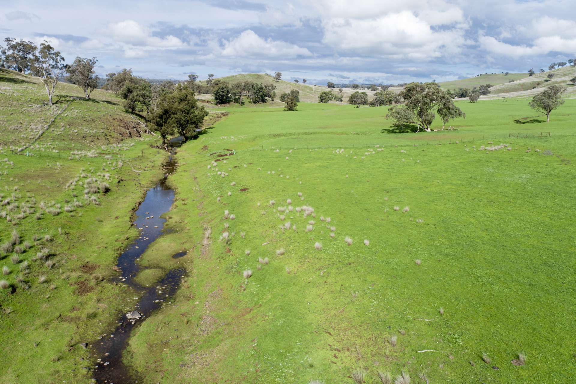 Hillgrove, 2851 Napier Lane, Nombi For Sale by Farmbuy.com - image 32