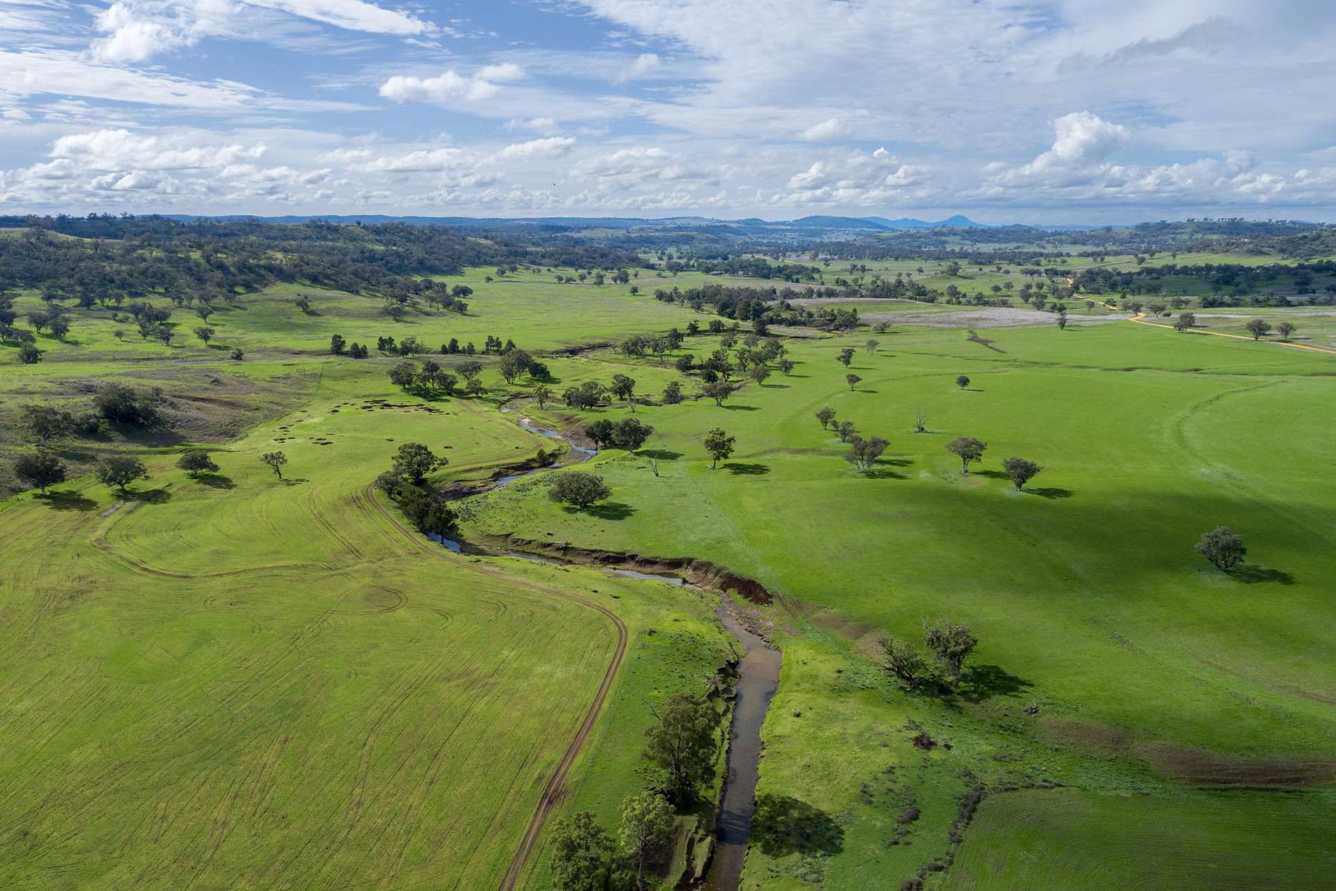 Hillgrove, 2851 Napier Lane, Nombi For Sale by Farmbuy.com - image 1