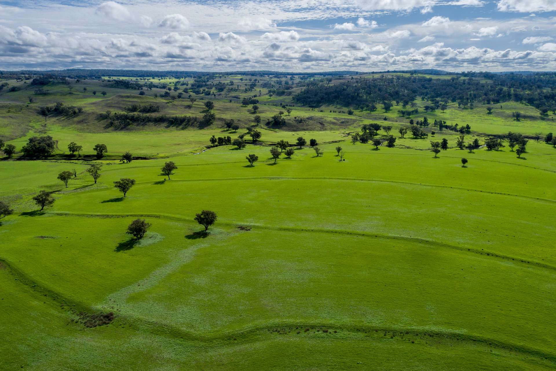 Hillgrove, 2851 Napier Lane, Nombi For Sale by Farmbuy.com - image 4