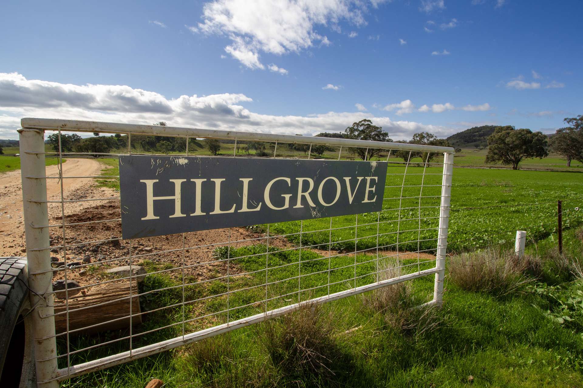 Hillgrove, 2851 Napier Lane, Nombi For Sale by Farmbuy.com - image 33