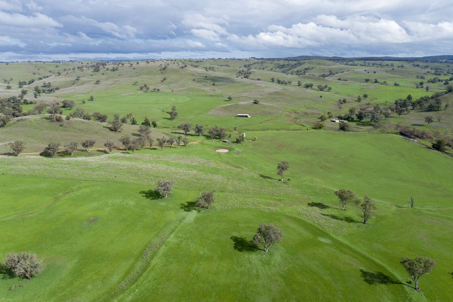 Hillgrove, 2851 Napier Lane, Nombi For Sale by Farmbuy.com - image 21