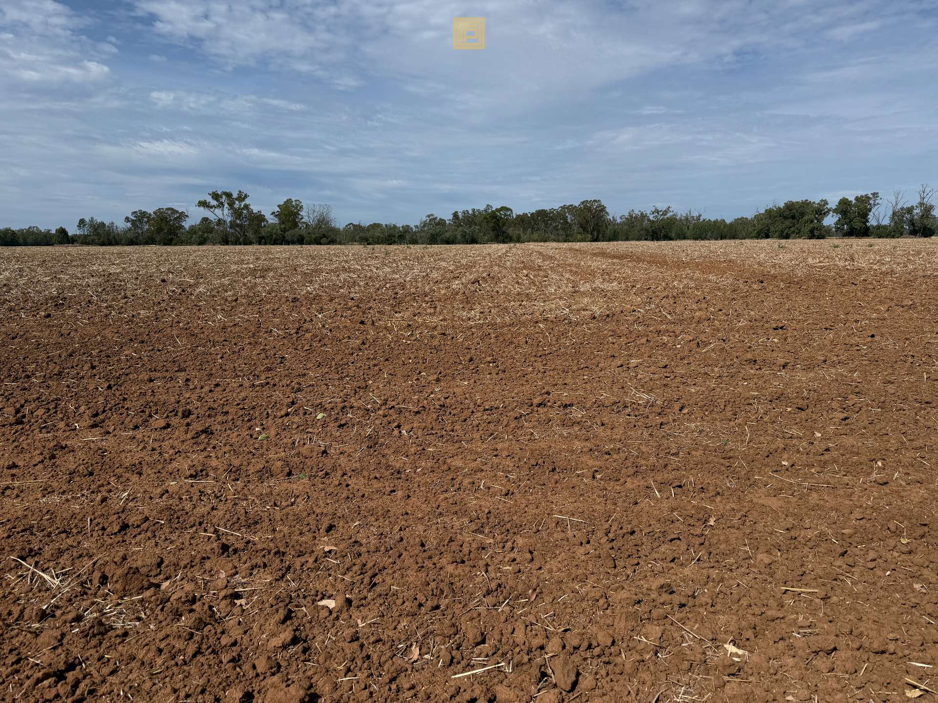PART CARNDU/1098 Merimborough Lane, Pilliga For Sale by Farmbuy.com - image 15