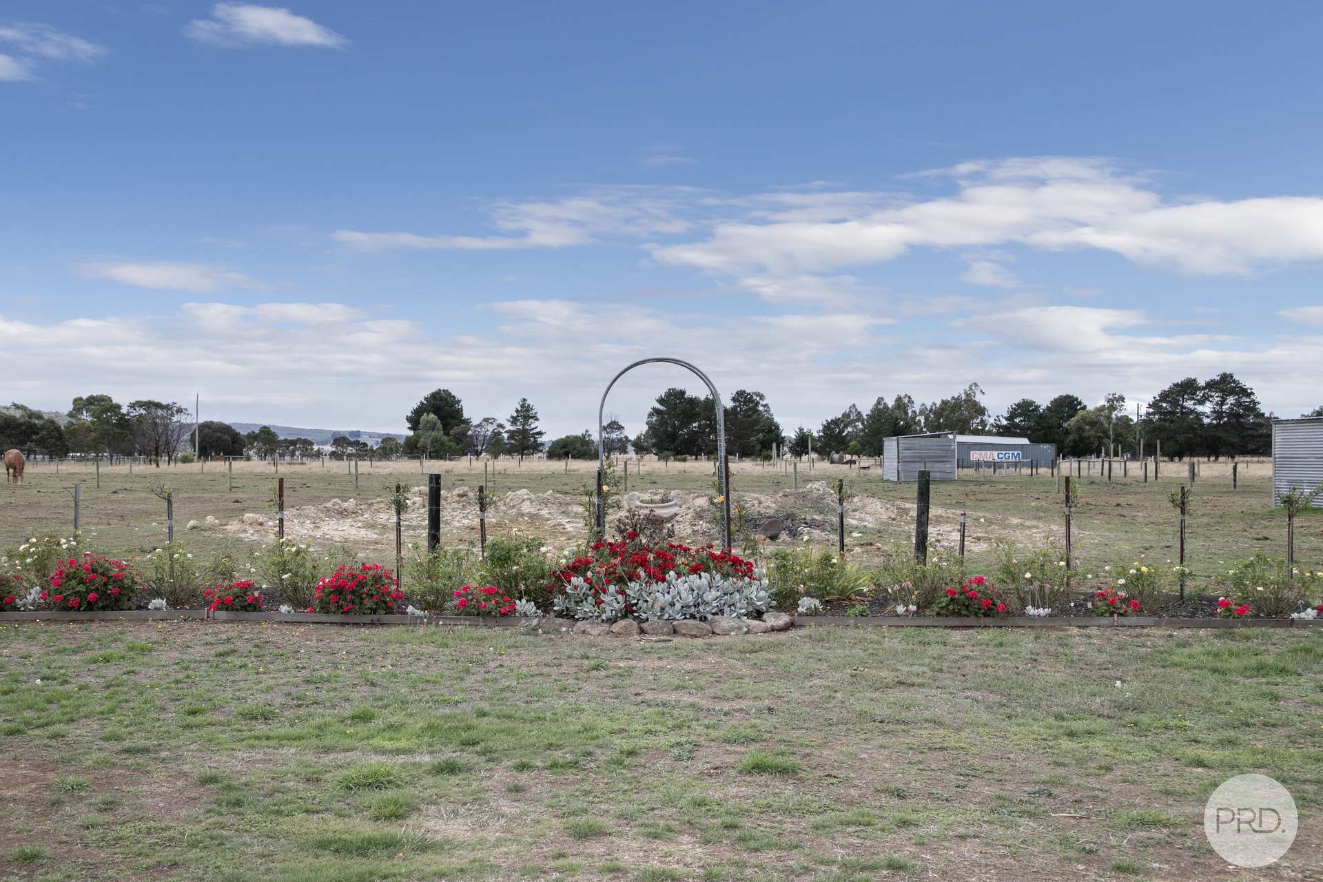21 Exchequer Road, Cape Clear For Sale by Farmbuy.com - image 11