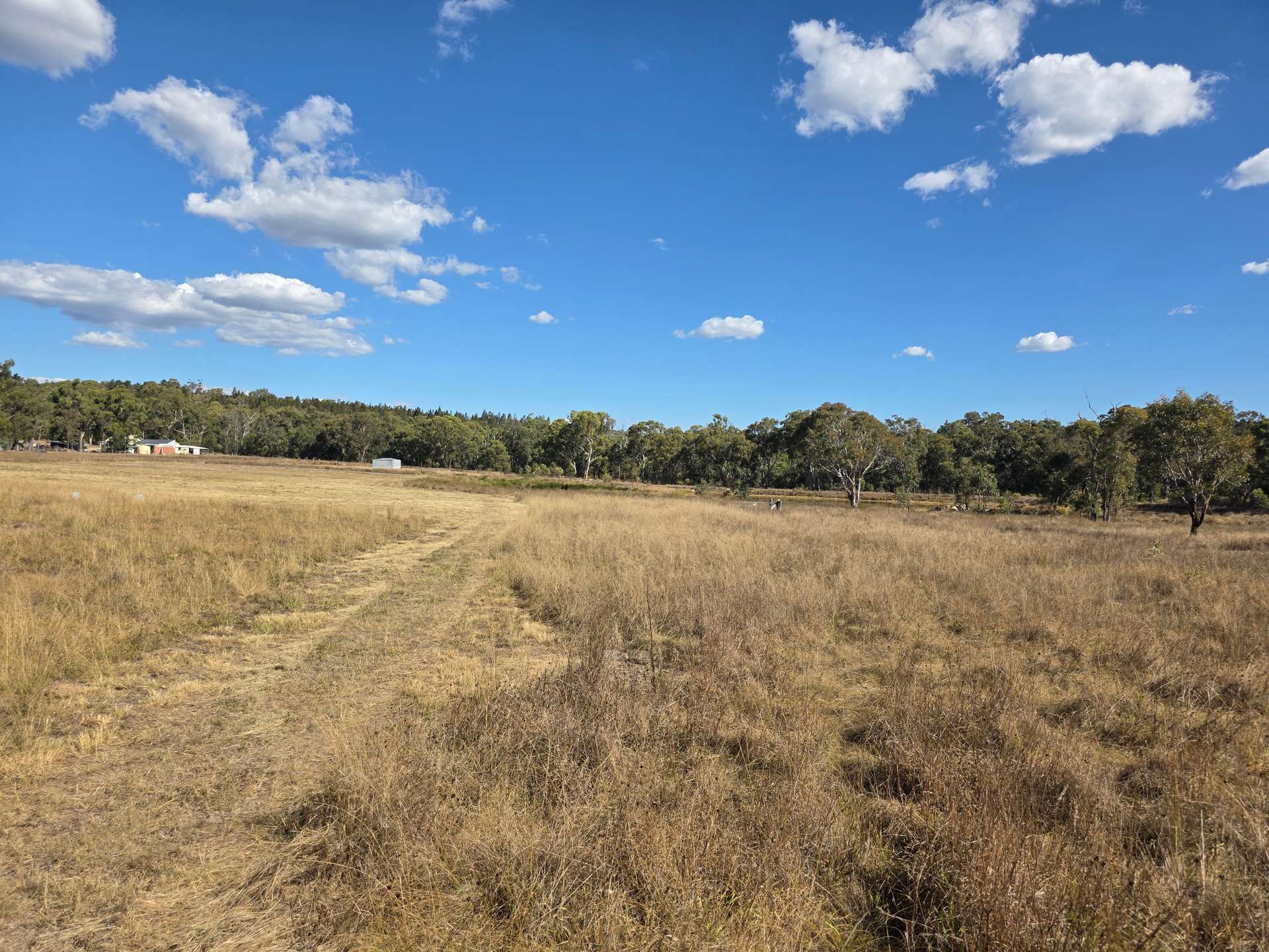 Lot 281 Boyce Road, Thorndale For Sale by Farmbuy.com - image 15
