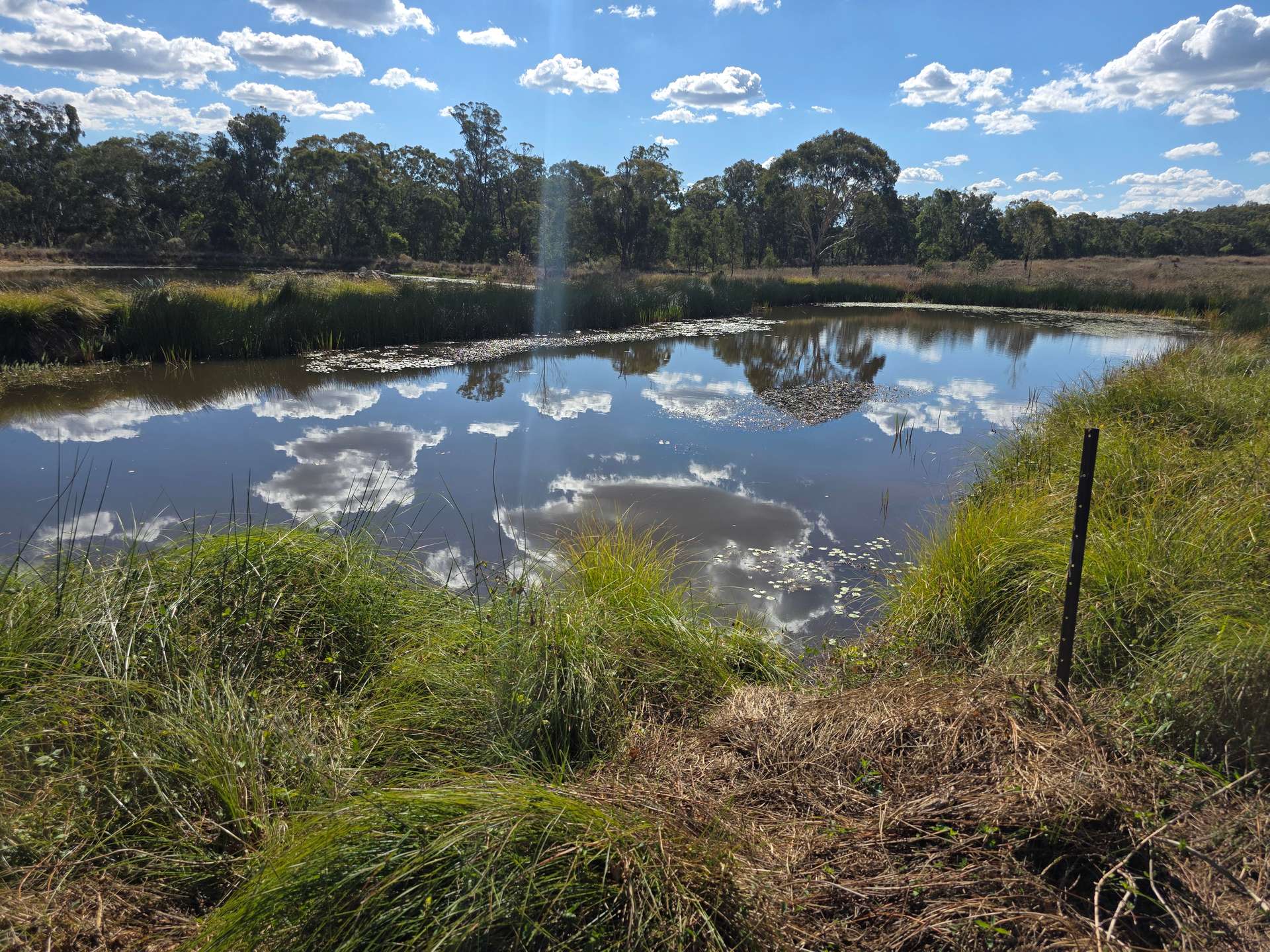Lot 281 Boyce Road, Thorndale For Sale by Farmbuy.com - image 4