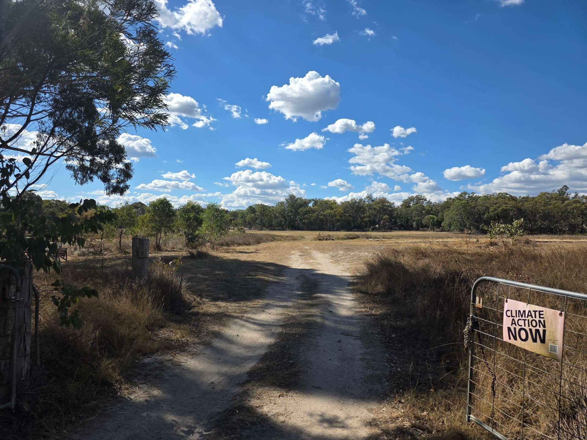 Lot 281 Boyce Road, Thorndale For Sale by Farmbuy.com - image 6