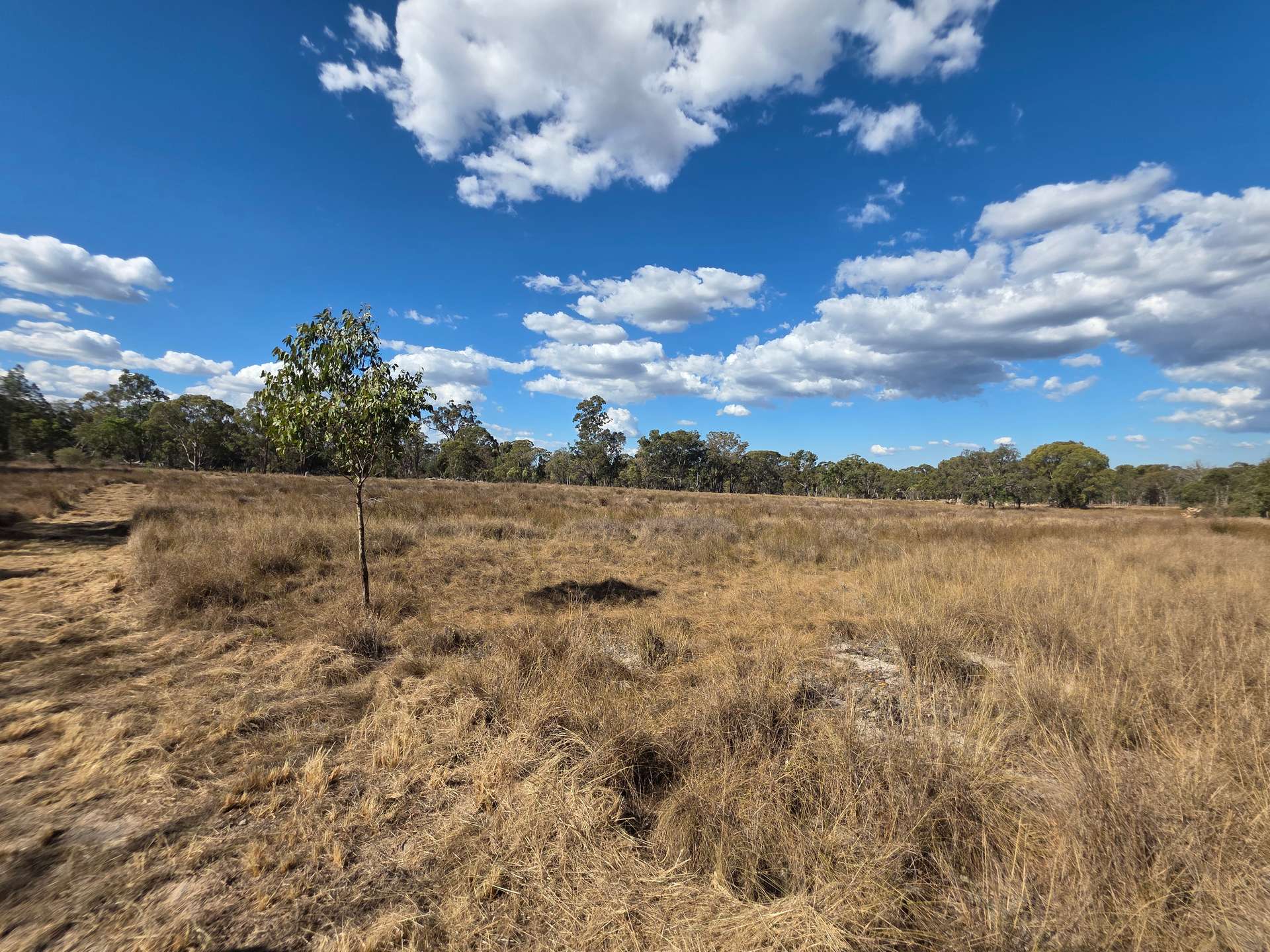 Lot 281 Boyce Road, Thorndale For Sale by Farmbuy.com - image 1