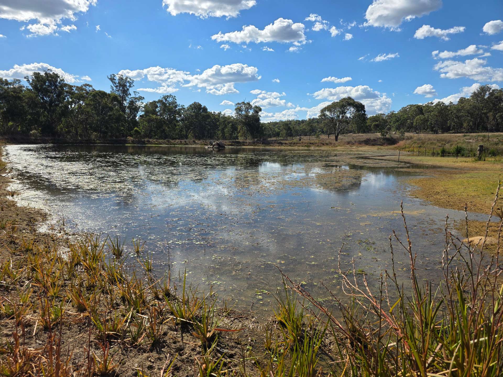 Lot 281 Boyce Road, Thorndale For Sale by Farmbuy.com - image 2