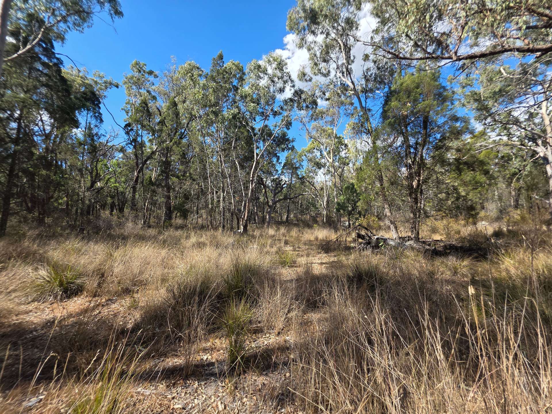 Lot 281 Boyce Road, Thorndale For Sale by Farmbuy.com - image 13