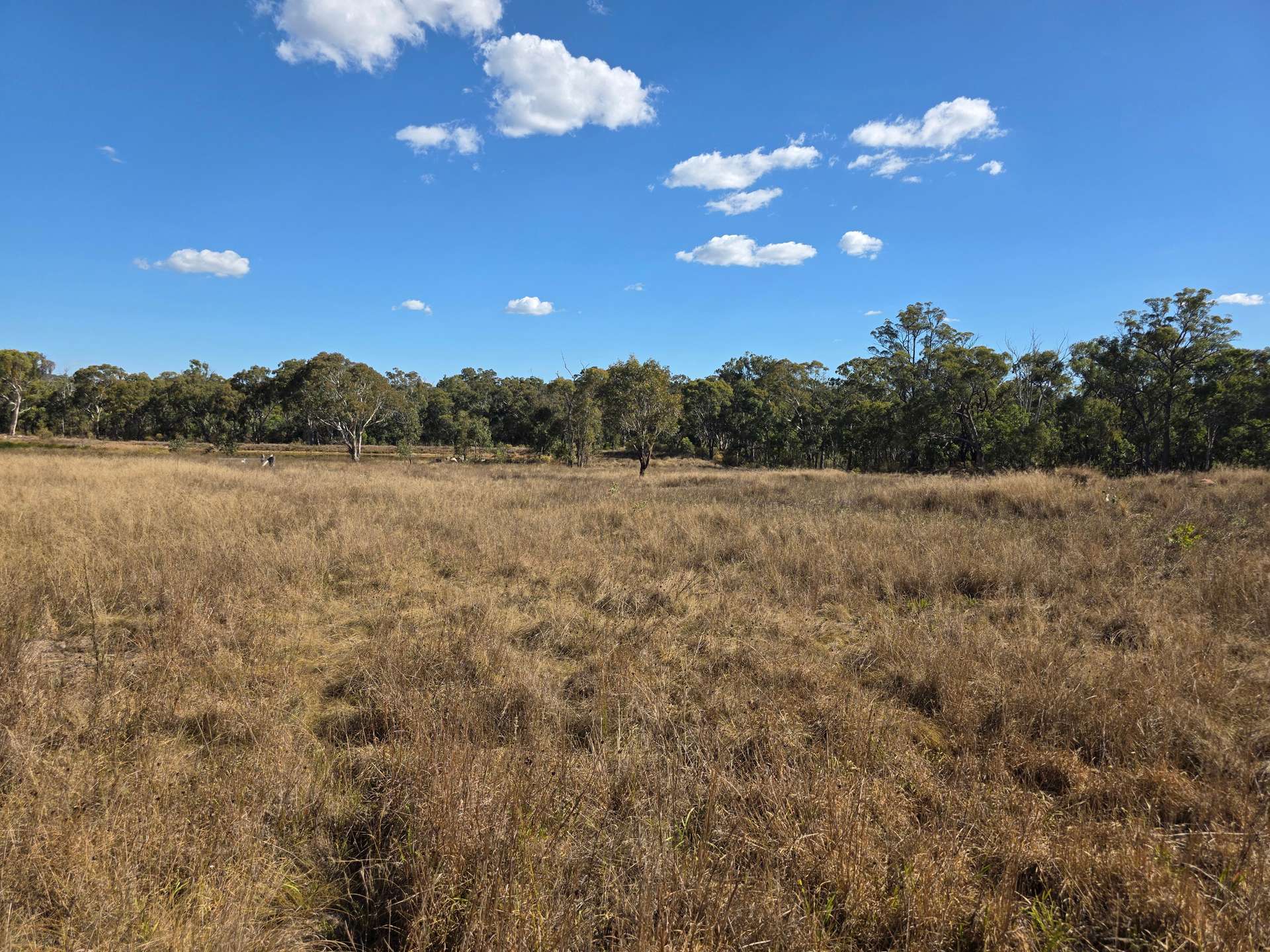 Lot 281 Boyce Road, Thorndale For Sale by Farmbuy.com - image 16