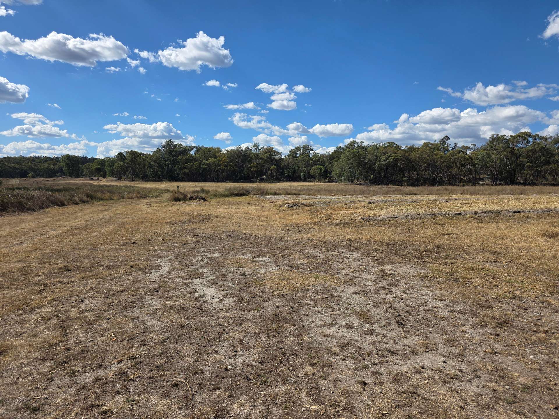 Lot 281 Boyce Road, Thorndale For Sale by Farmbuy.com - image 7