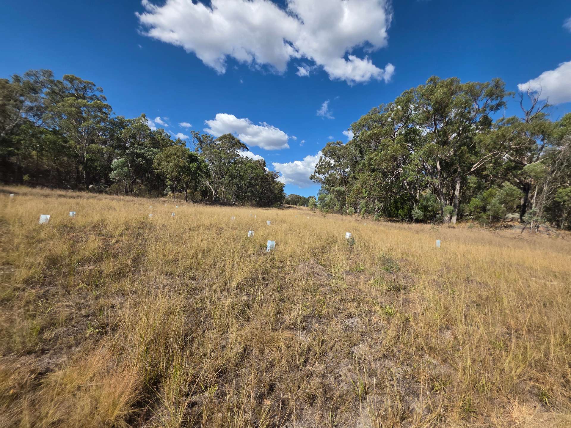 Lot 281 Boyce Road, Thorndale For Sale by Farmbuy.com - image 11