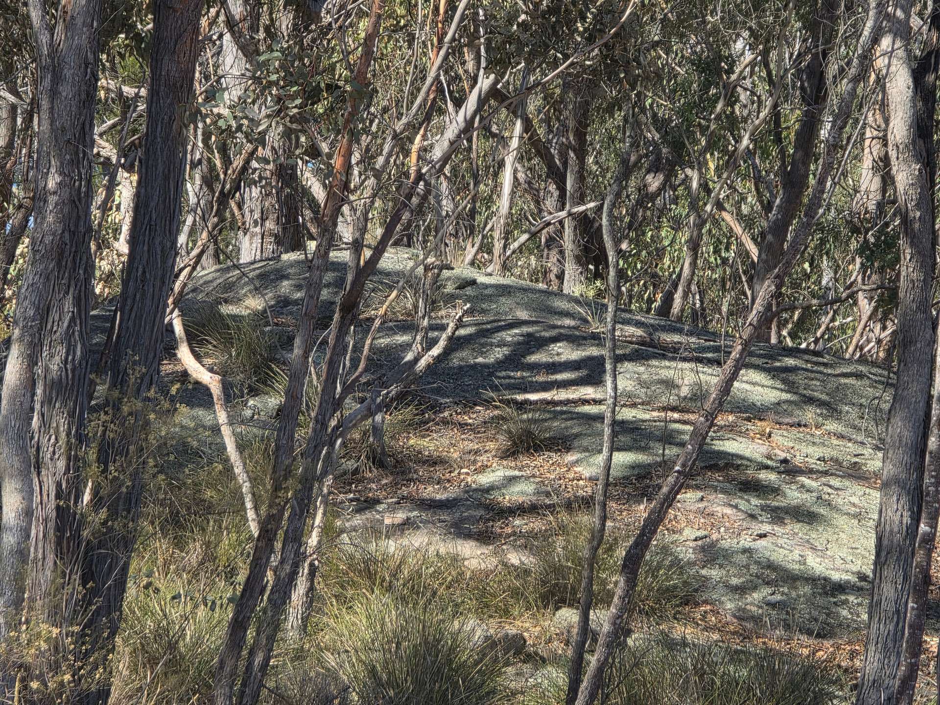 Lot 281 Boyce Road, Thorndale For Sale by Farmbuy.com - image 10