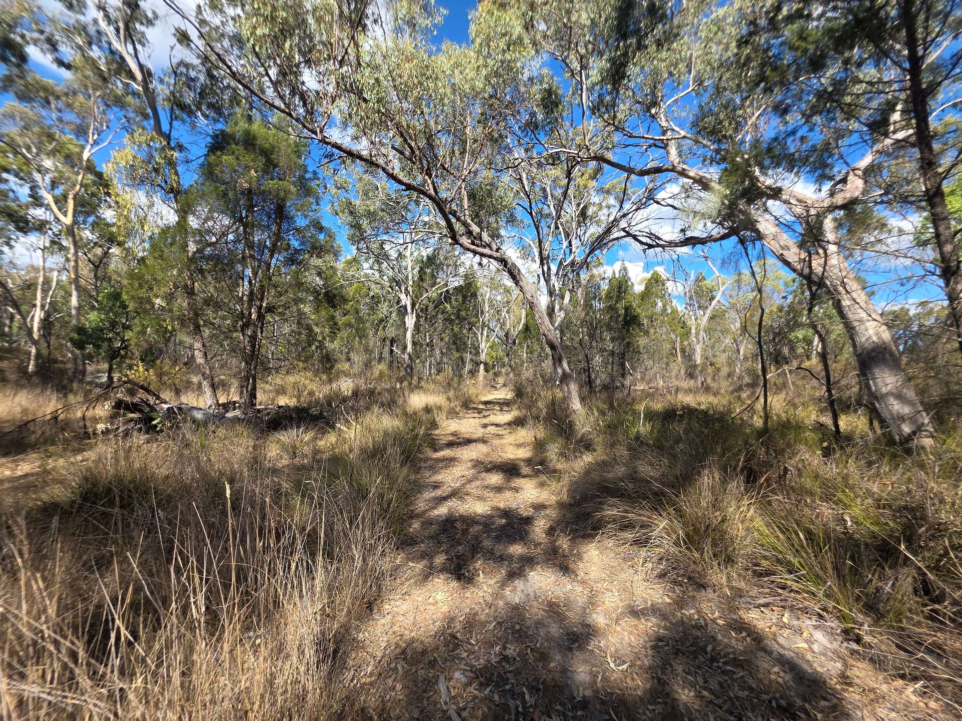 Lot 281 Boyce Road, Thorndale For Sale by Farmbuy.com - image 12
