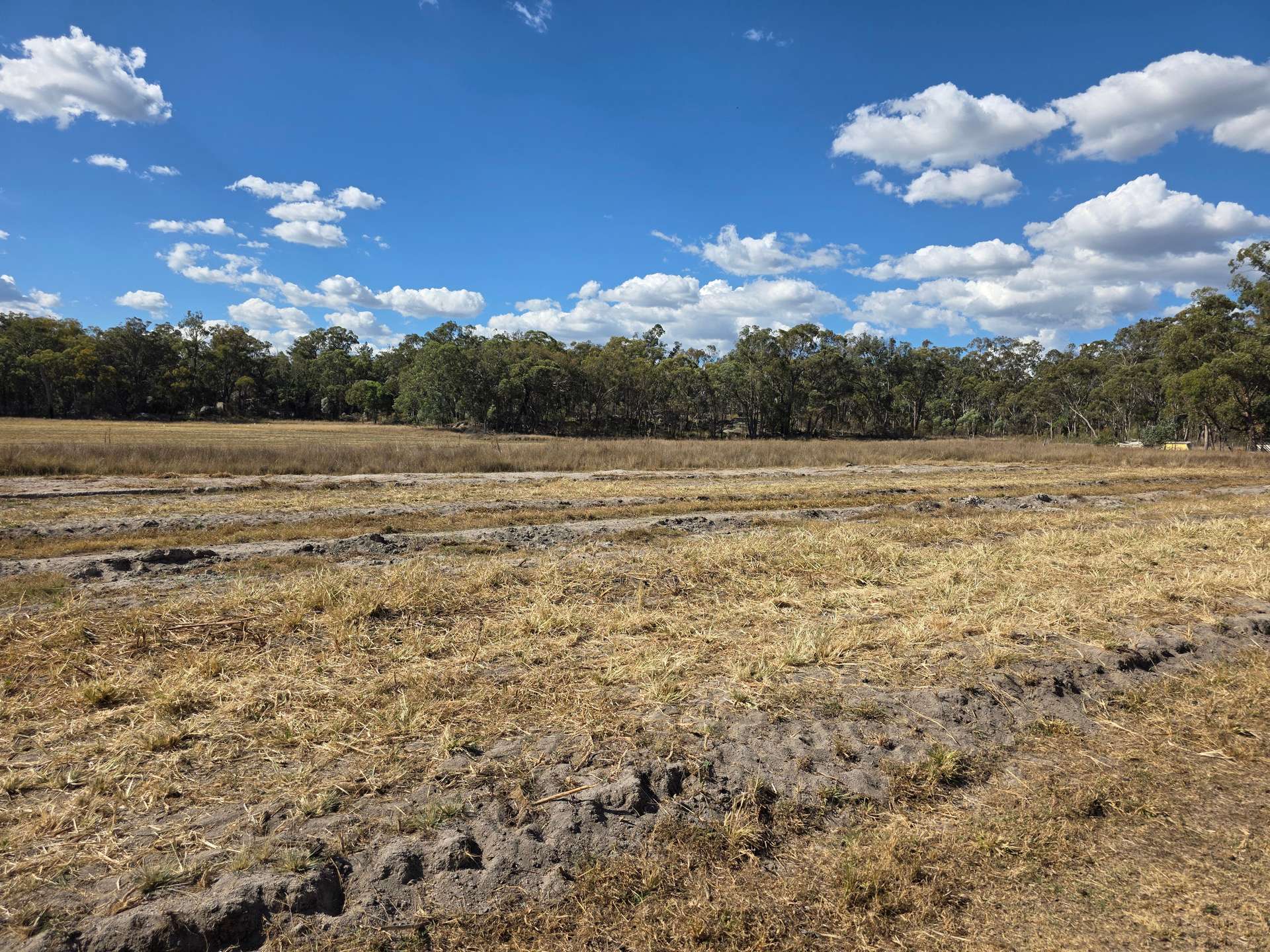 Lot 281 Boyce Road, Thorndale For Sale by Farmbuy.com - image 8