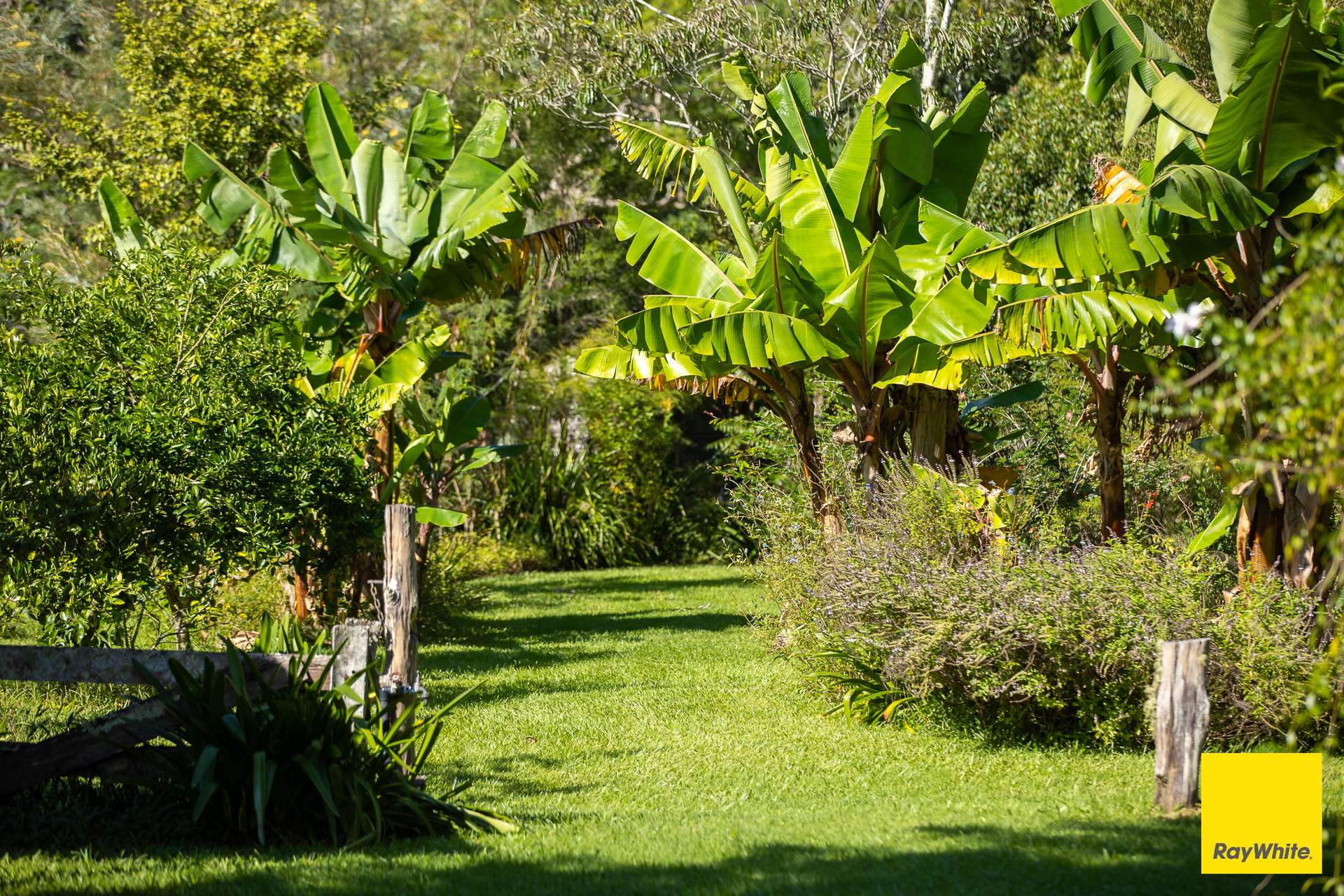 'Sunrise' Darkwood Road, Bellingen For Sale by Farmbuy.com - image 22