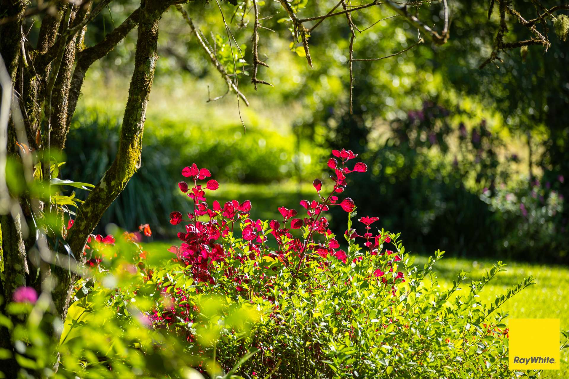 'Sunrise' Darkwood Road, Bellingen For Sale by Farmbuy.com - image 24