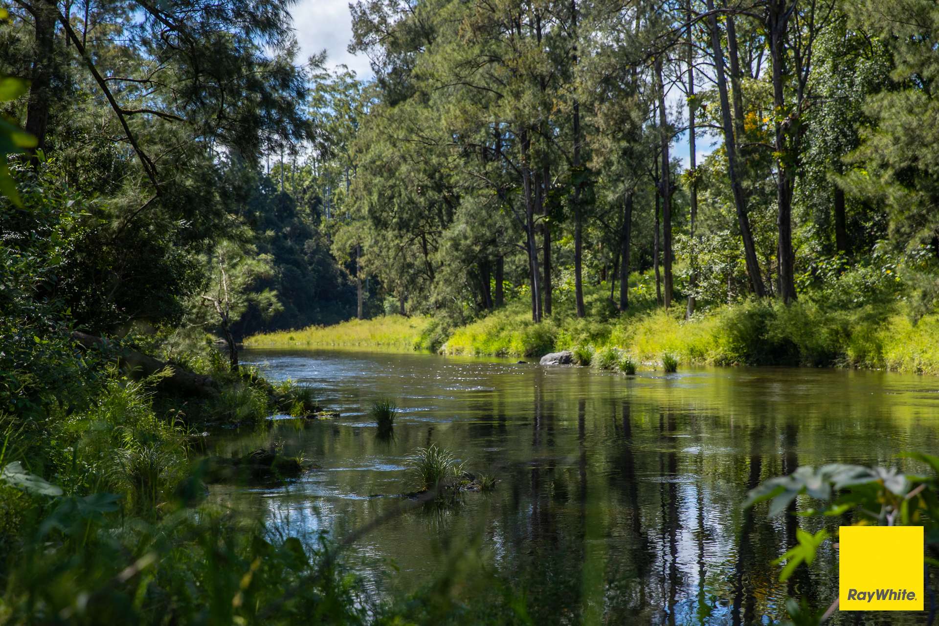 'Sunrise' Darkwood Road, Bellingen For Sale by Farmbuy.com - image 3