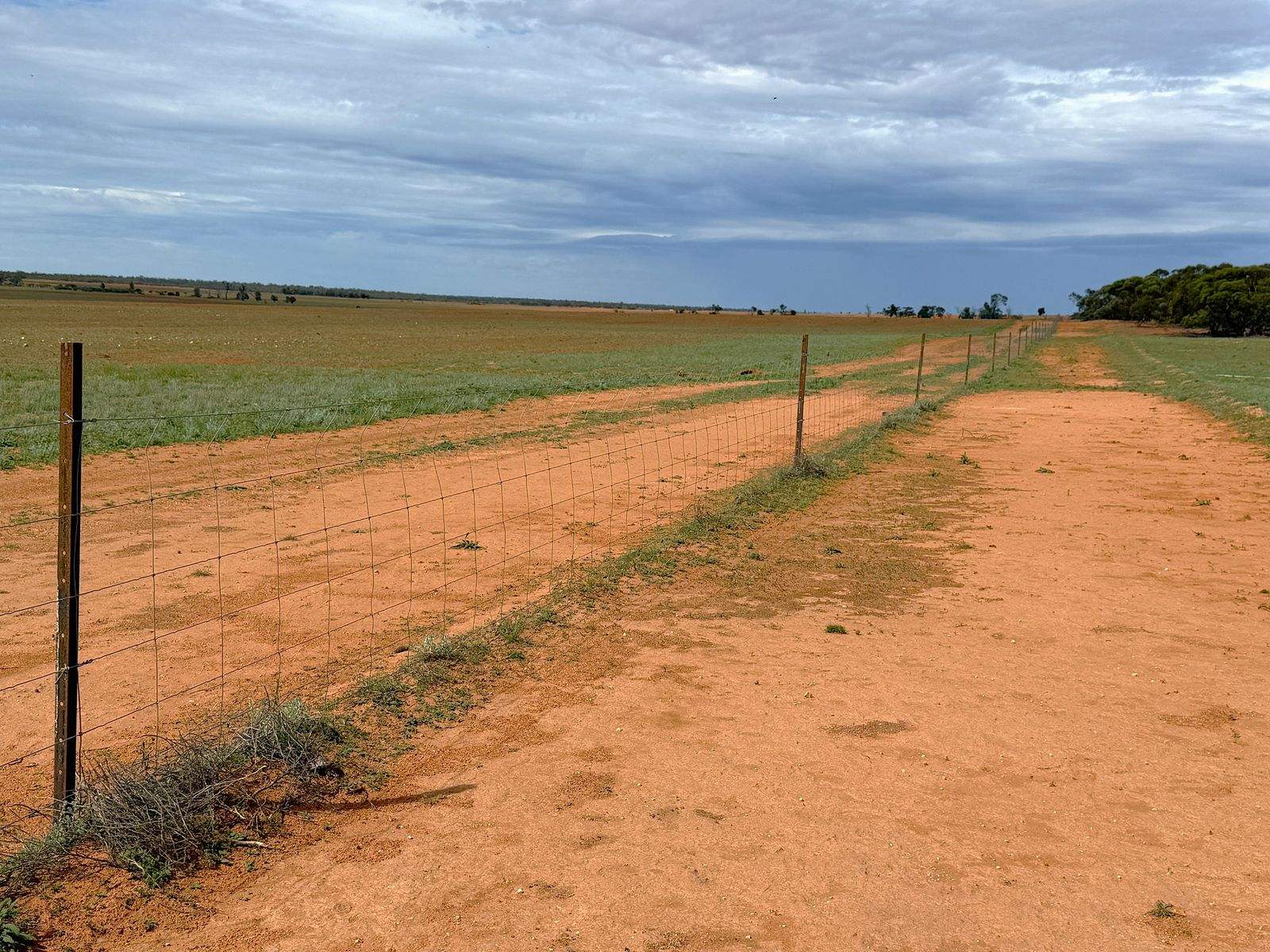 'Pinewood' Wentworth/Pooncarie Road, Wentworth For Sale by Farmbuy.com - image 20