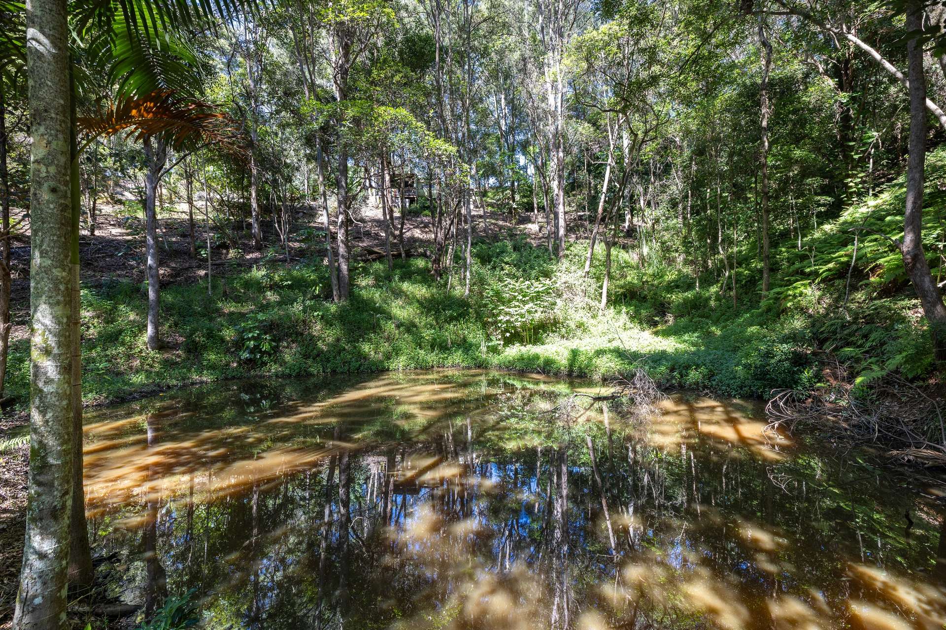 411 Hunchy Road, Hunchy For Sale by Farmbuy.com - image 28