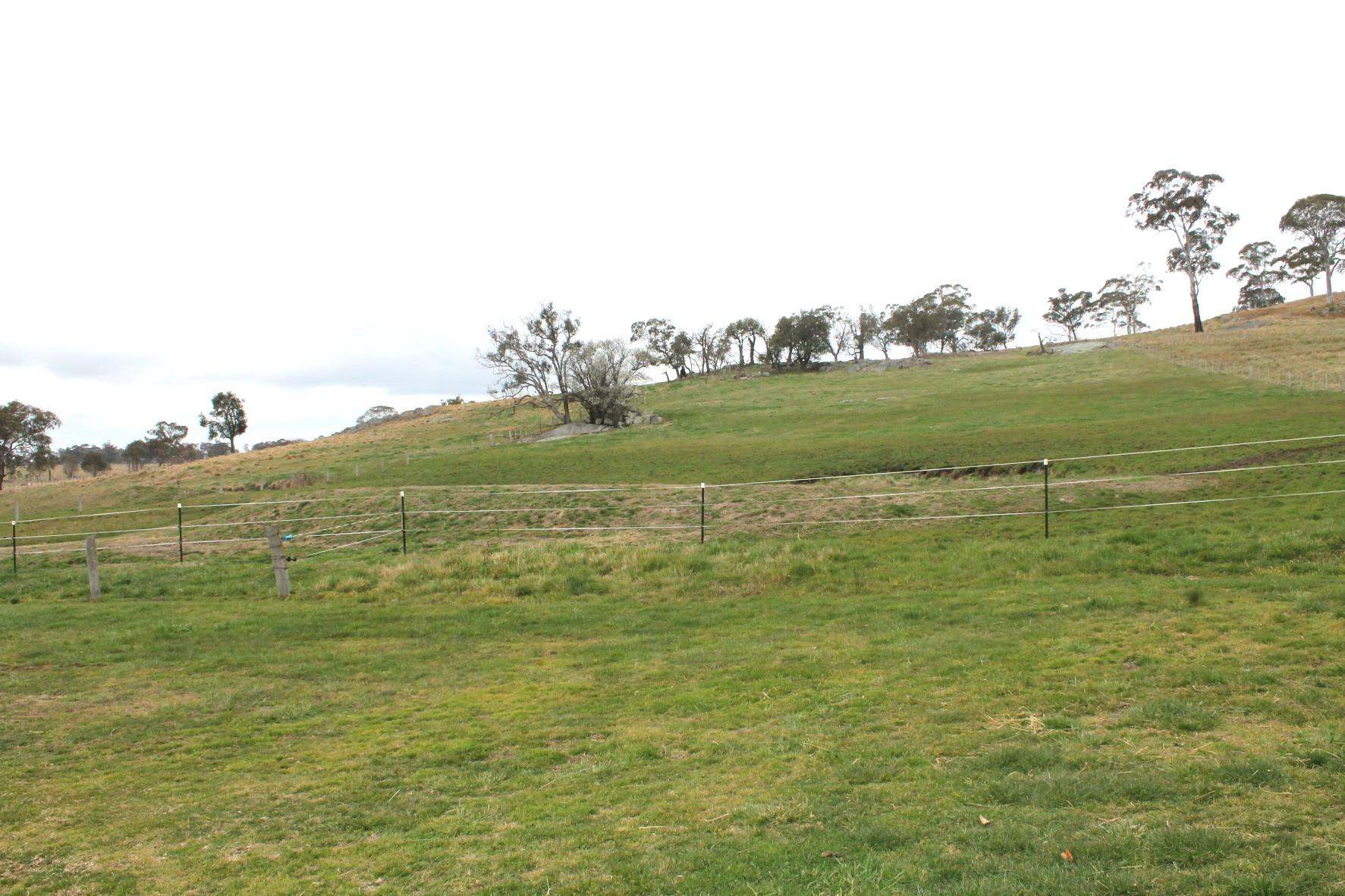 1672 Red Range Road, Glen Innes For Sale by Farmbuy.com - image 13