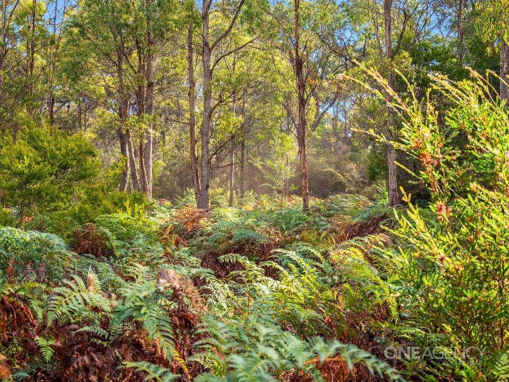 175 Stennings Road, Wynyard For Sale by Farmbuy.com - image 26