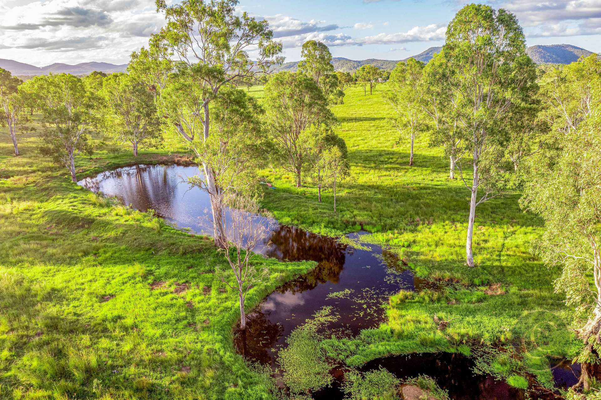 2964 Wide Bay Highway, Oakview For Sale by Farmbuy.com - image 29