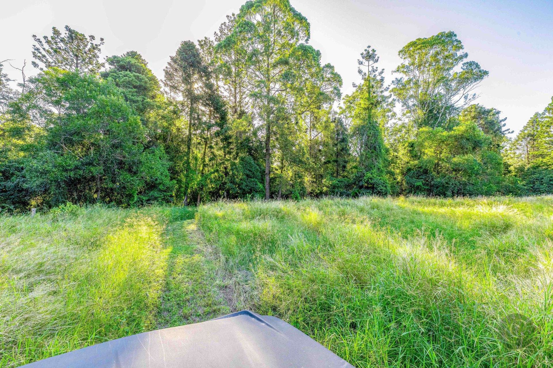 38 Collard Road, Mooloo Sold by Farmbuy.com - image 30