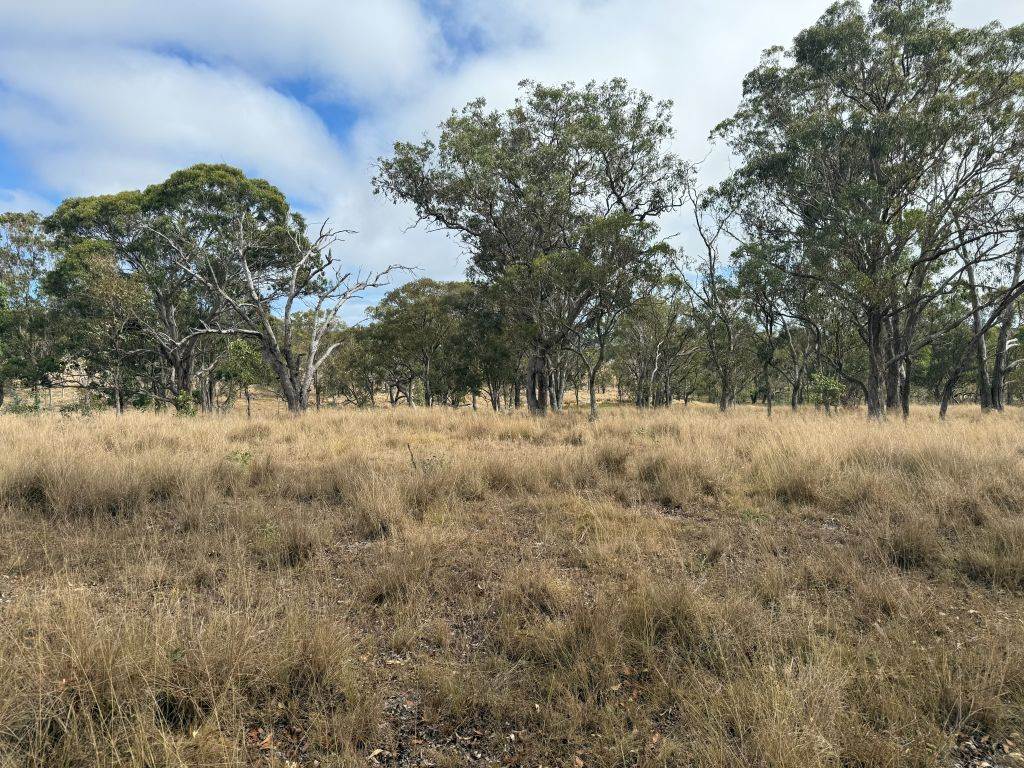 57 Nielsens Road, Sugarloaf For Sale by Farmbuy.com - image 28