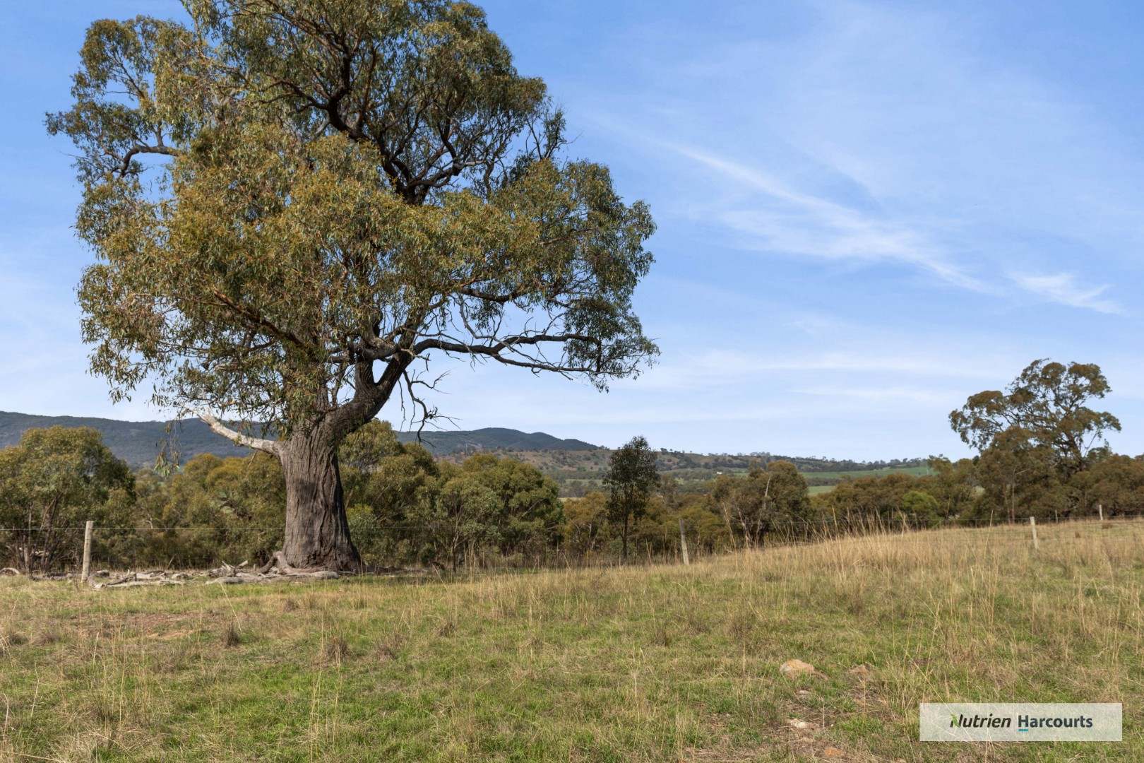 310 Dockerys Road, Tallarook For Sale by Farmbuy.com - image 14
