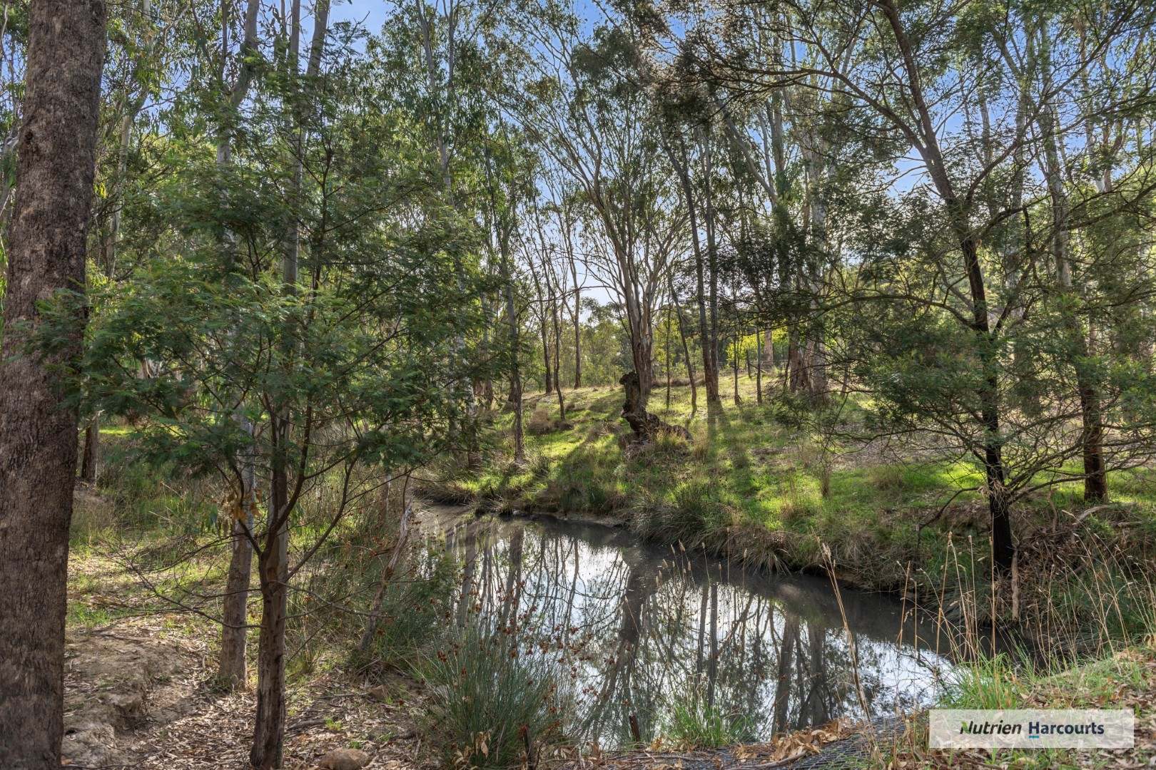 310 Dockerys Road, Tallarook For Sale by Farmbuy.com - image 16