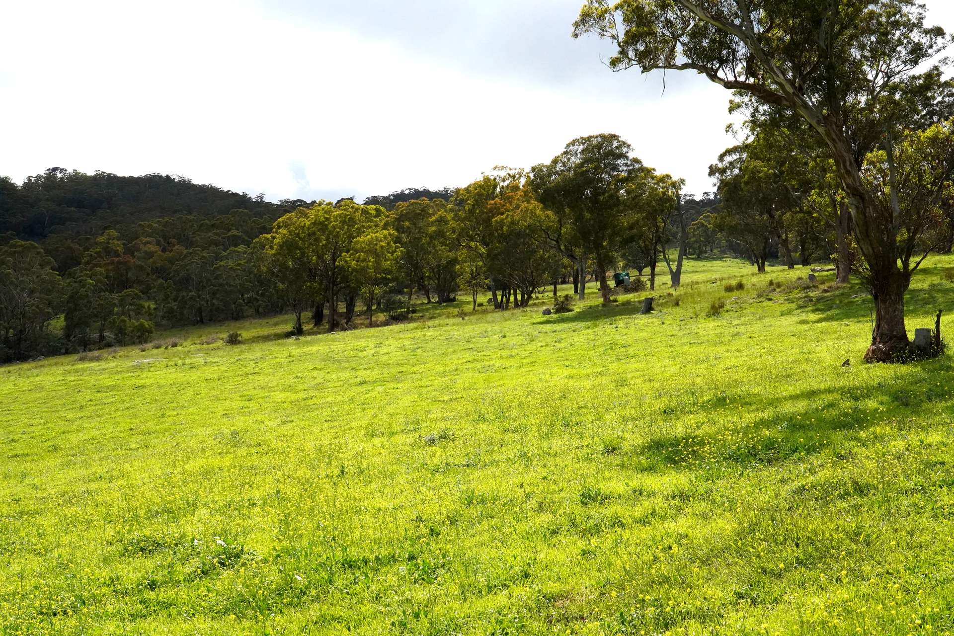 Lot 2 - 410 Honeysuckle Falls Road, Tarana For Sale by Farmbuy.com - image 28