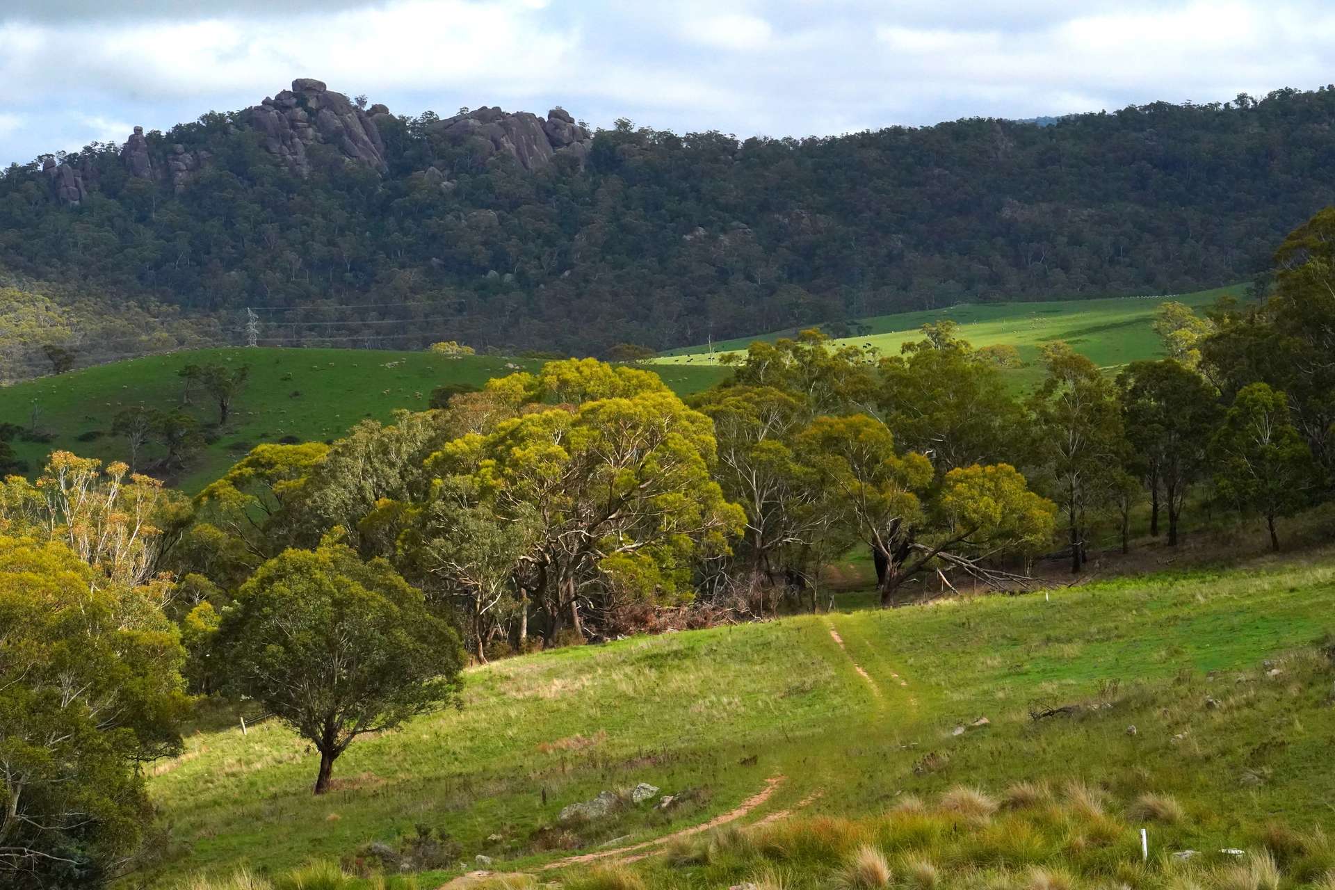 Lot 2 - 410 Honeysuckle Falls Road, Tarana For Sale by Farmbuy.com - image 29
