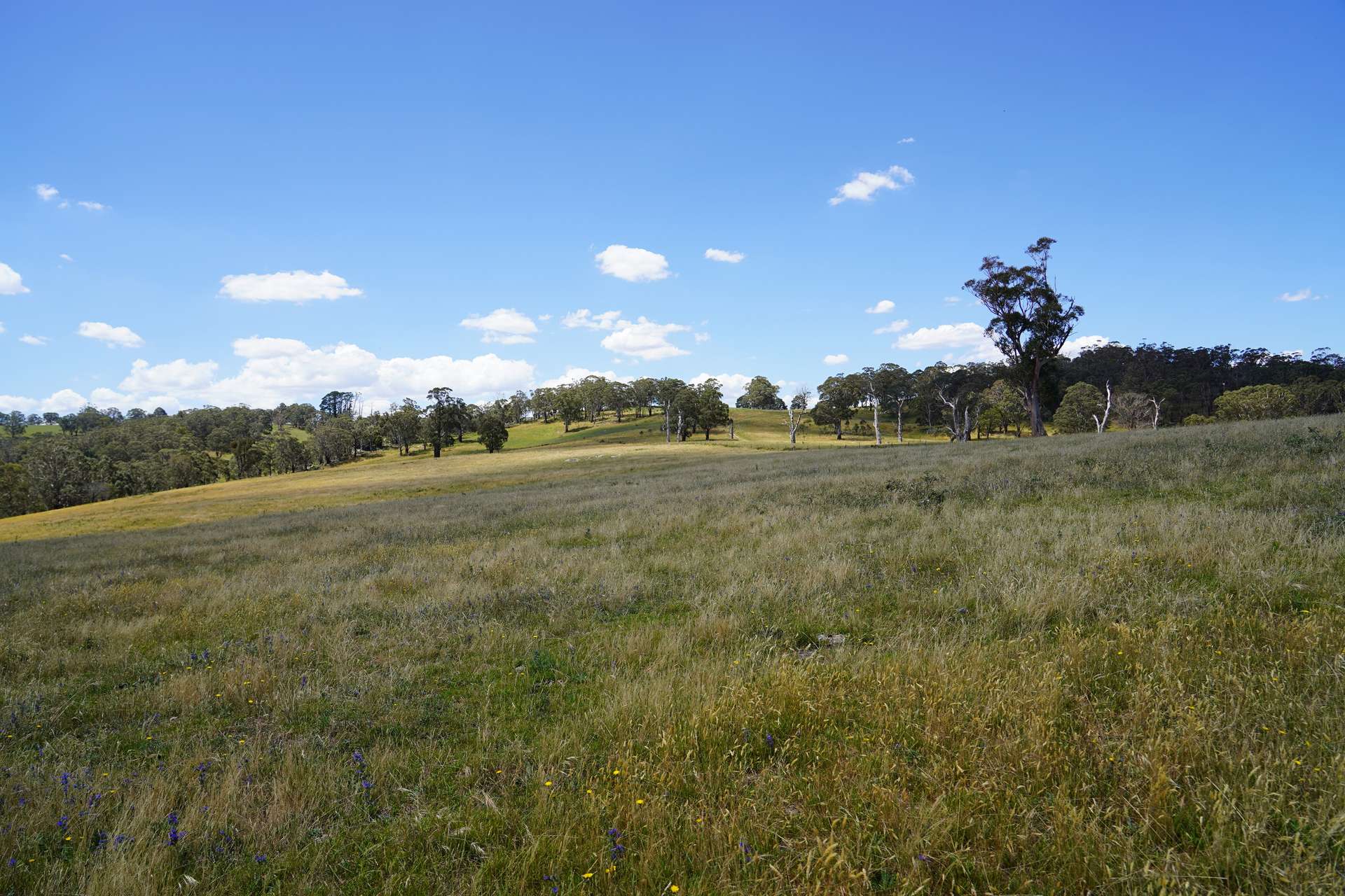 Lot 2 - 410 Honeysuckle Falls Road, Tarana For Sale by Farmbuy.com - image 12
