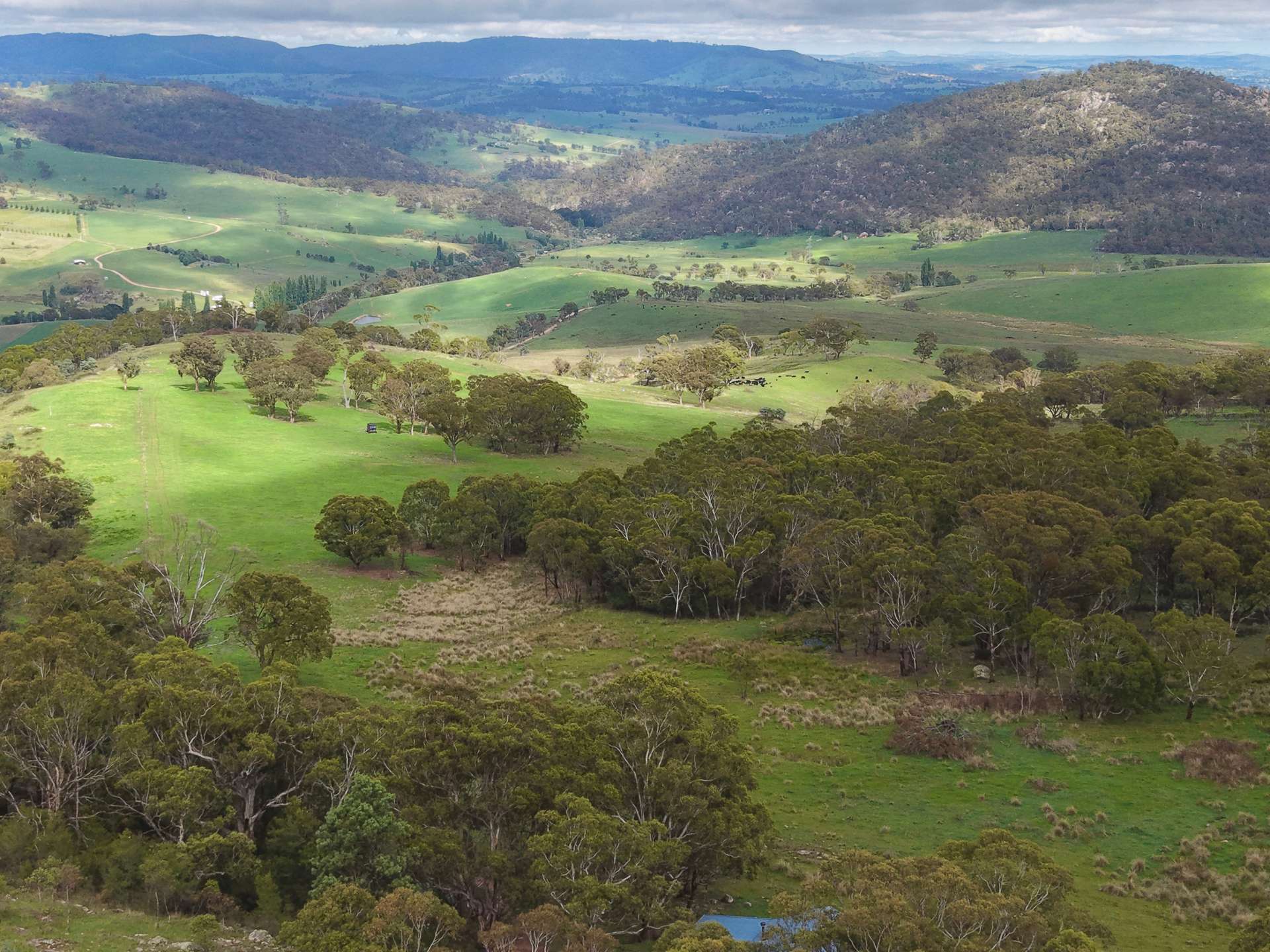 Lot 2 - 410 Honeysuckle Falls Road, Tarana For Sale by Farmbuy.com - image 20