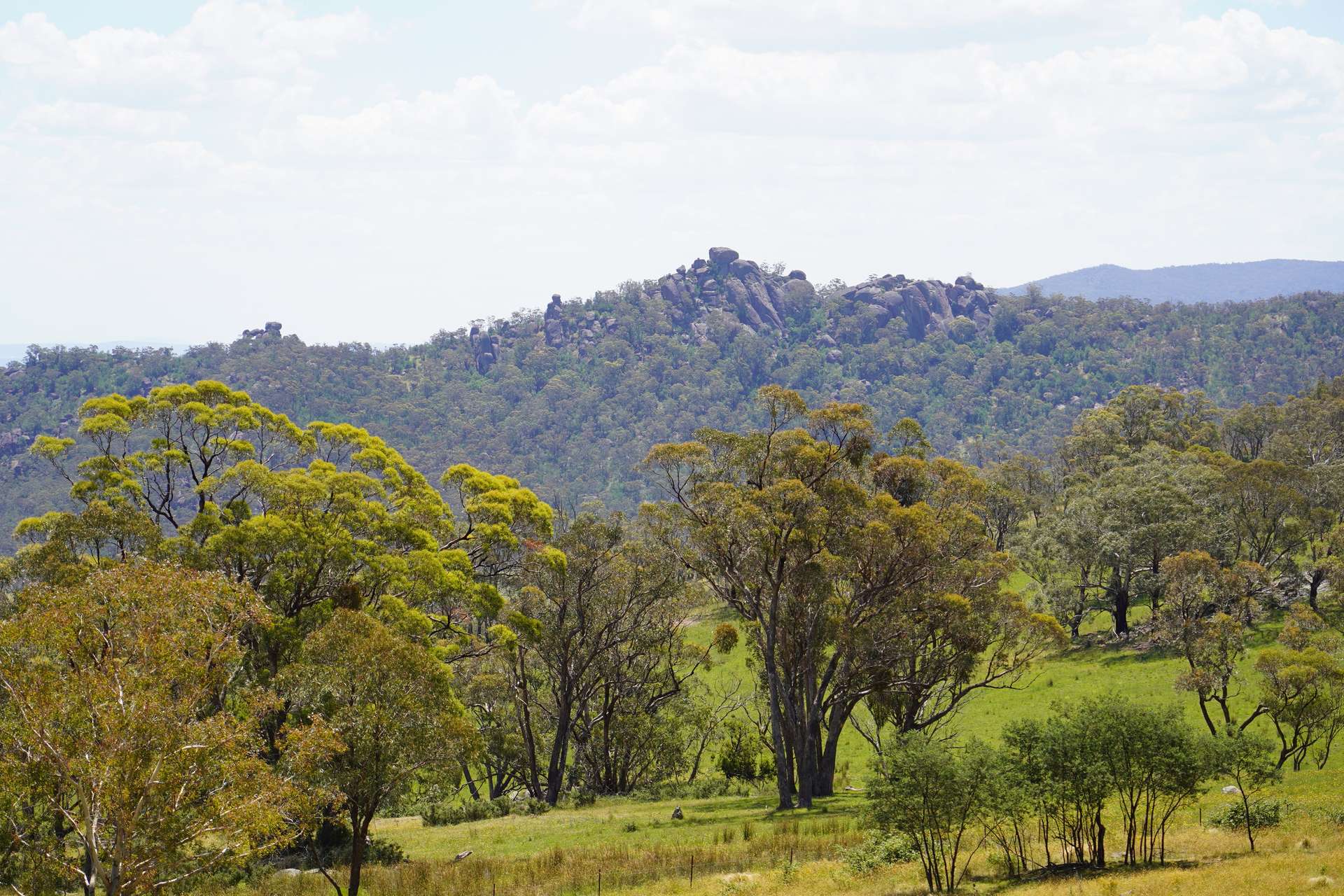 Lot 2 - 410 Honeysuckle Falls Road, Tarana For Sale by Farmbuy.com - image 9