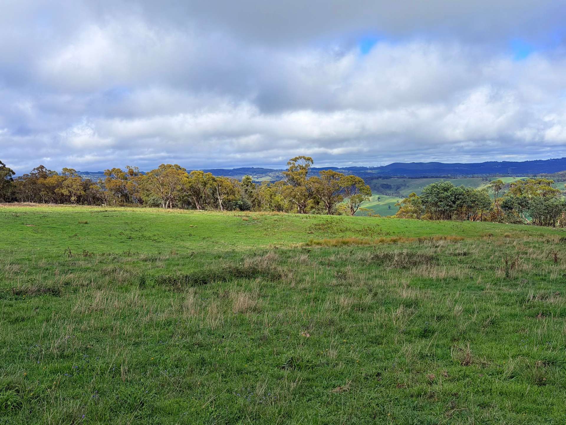 Lot 2 - 410 Honeysuckle Falls Road, Tarana For Sale by Farmbuy.com - image 18