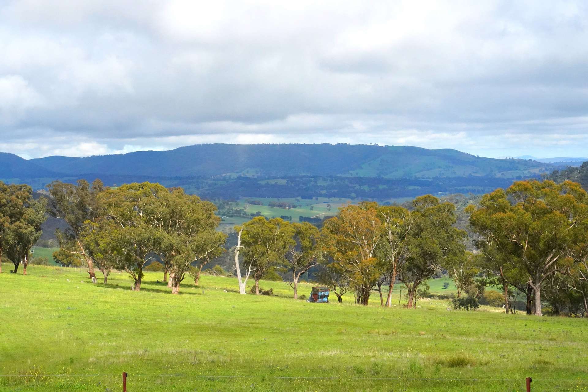 Lot 2 - 410 Honeysuckle Falls Road, Tarana For Sale by Farmbuy.com - image 26