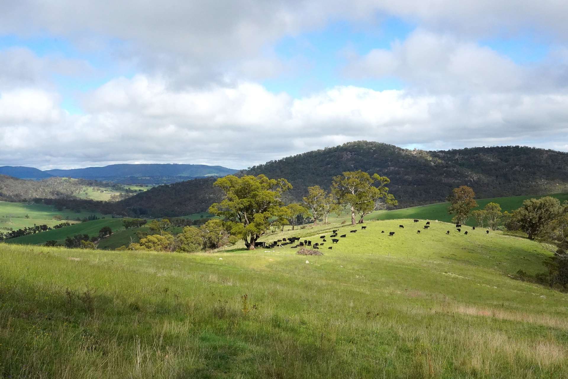 Lot 2 - 410 Honeysuckle Falls Road, Tarana For Sale by Farmbuy.com - image 30