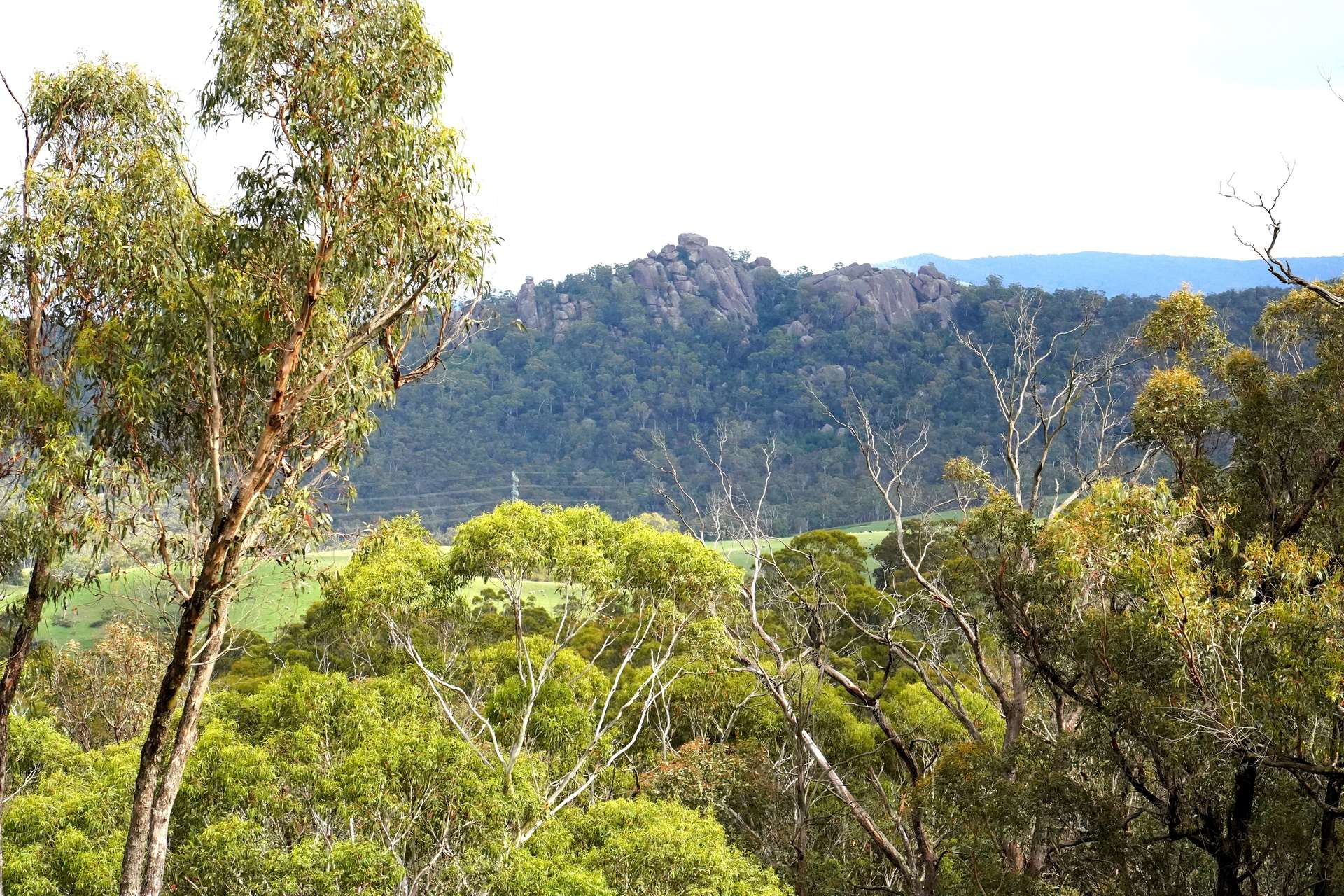 Lot 2 - 410 Honeysuckle Falls Road, Tarana For Sale by Farmbuy.com - image 24