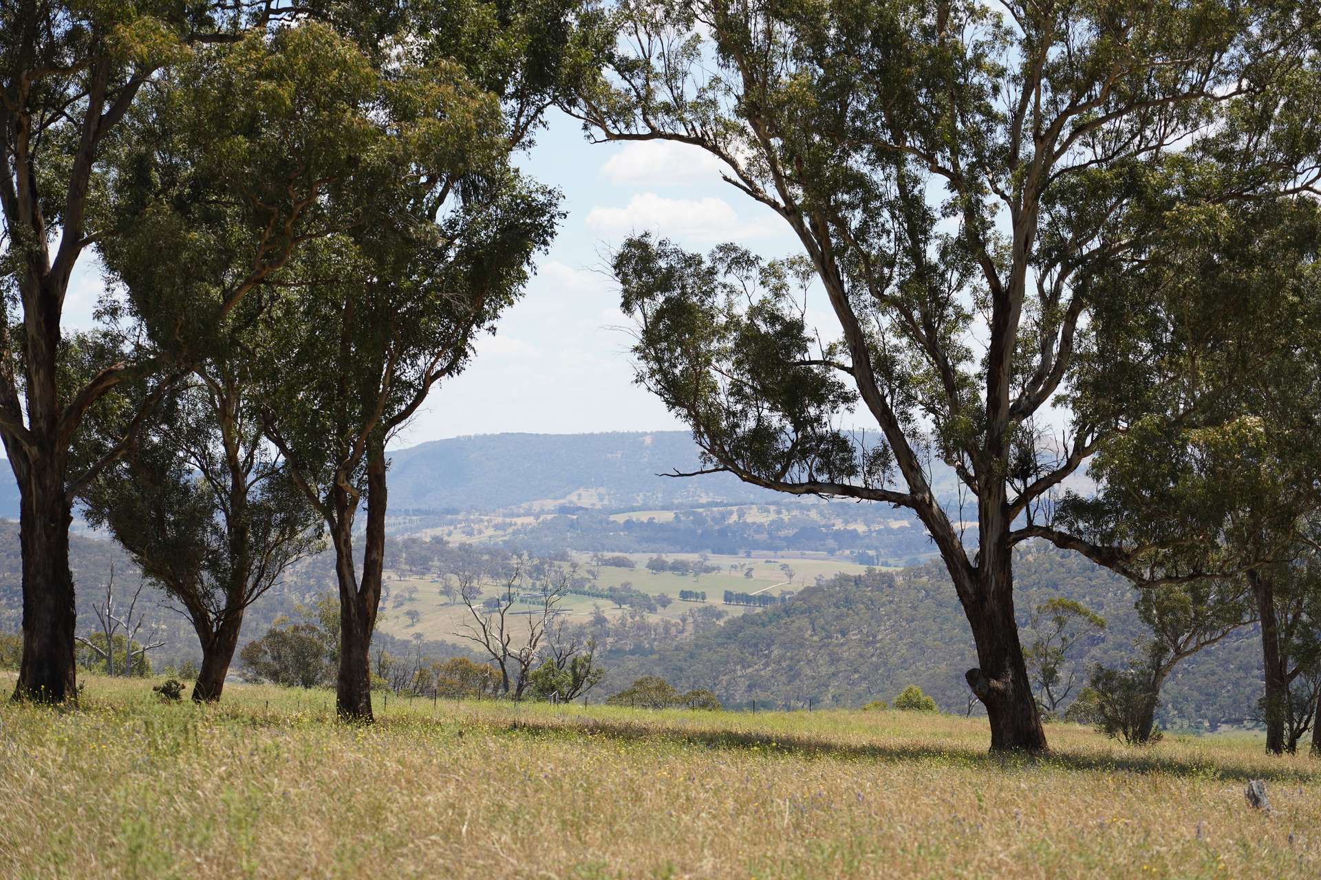 Lot 2 - 410 Honeysuckle Falls Road, Tarana For Sale by Farmbuy.com - image 1