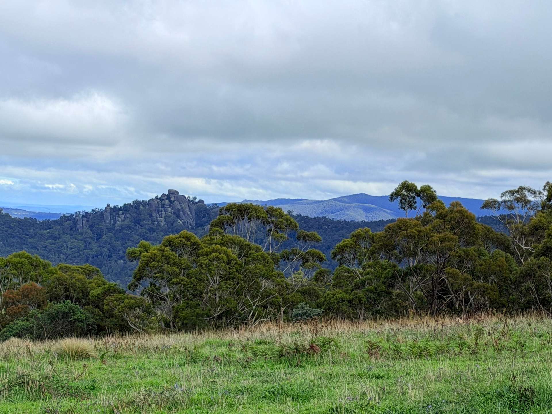 Lot 2 - 410 Honeysuckle Falls Road, Tarana For Sale by Farmbuy.com - image 19