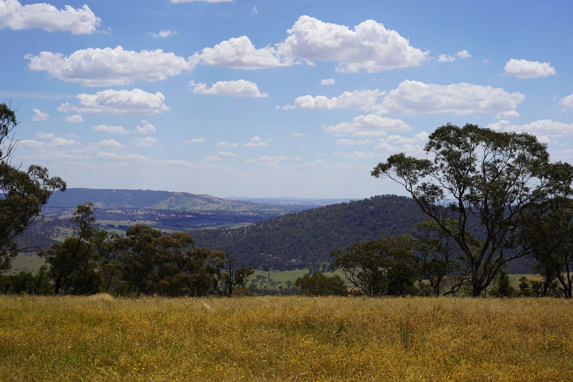 Lot 2 - 410 Honeysuckle Falls Road, Tarana For Sale by Farmbuy.com - image 13
