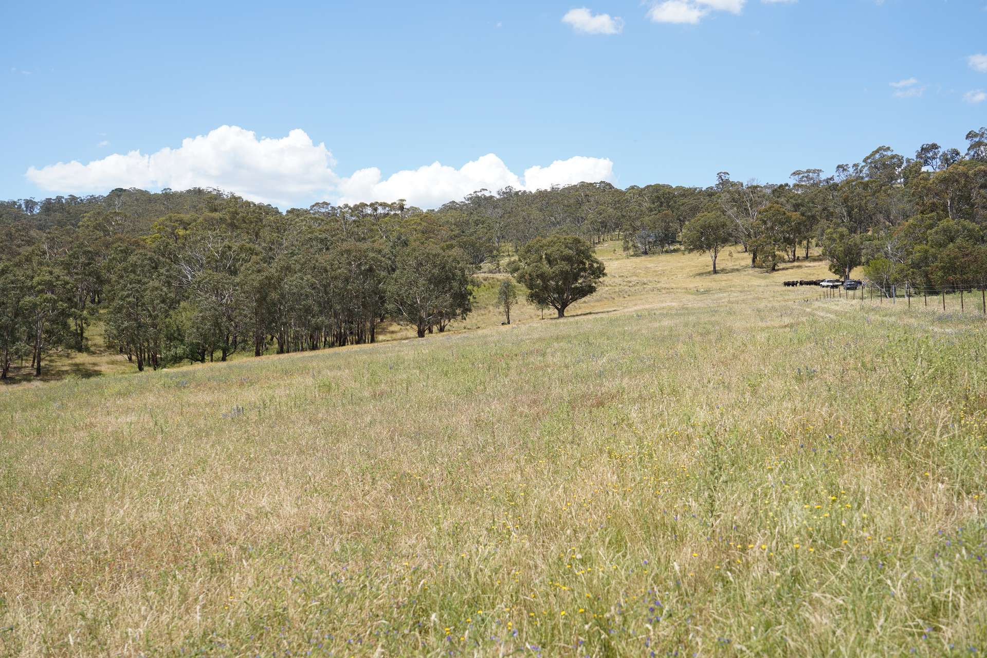 Lot 2 - 410 Honeysuckle Falls Road, Tarana For Sale by Farmbuy.com - image 6