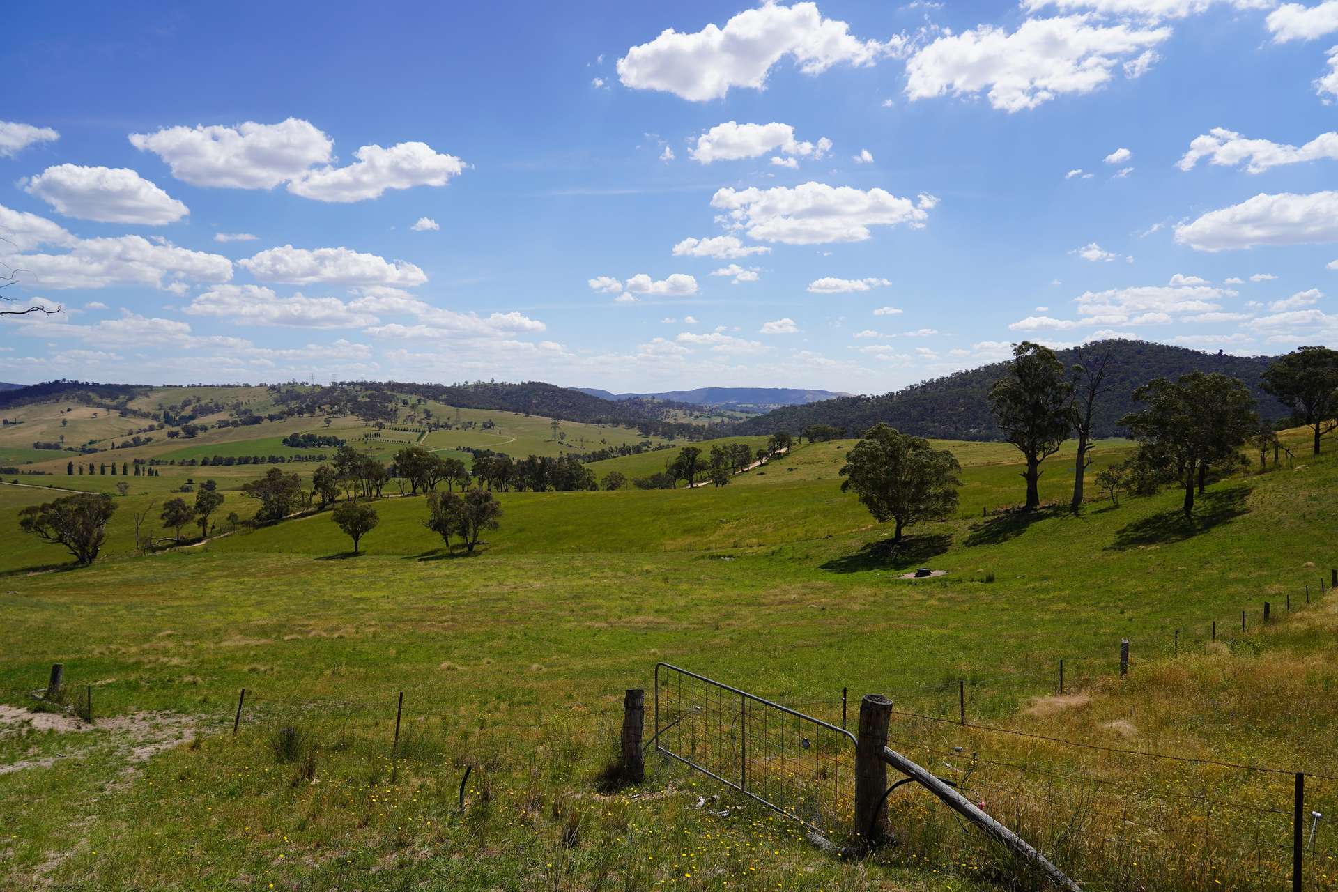 Lot 2 - 410 Honeysuckle Falls Road, Tarana For Sale by Farmbuy.com - image 14