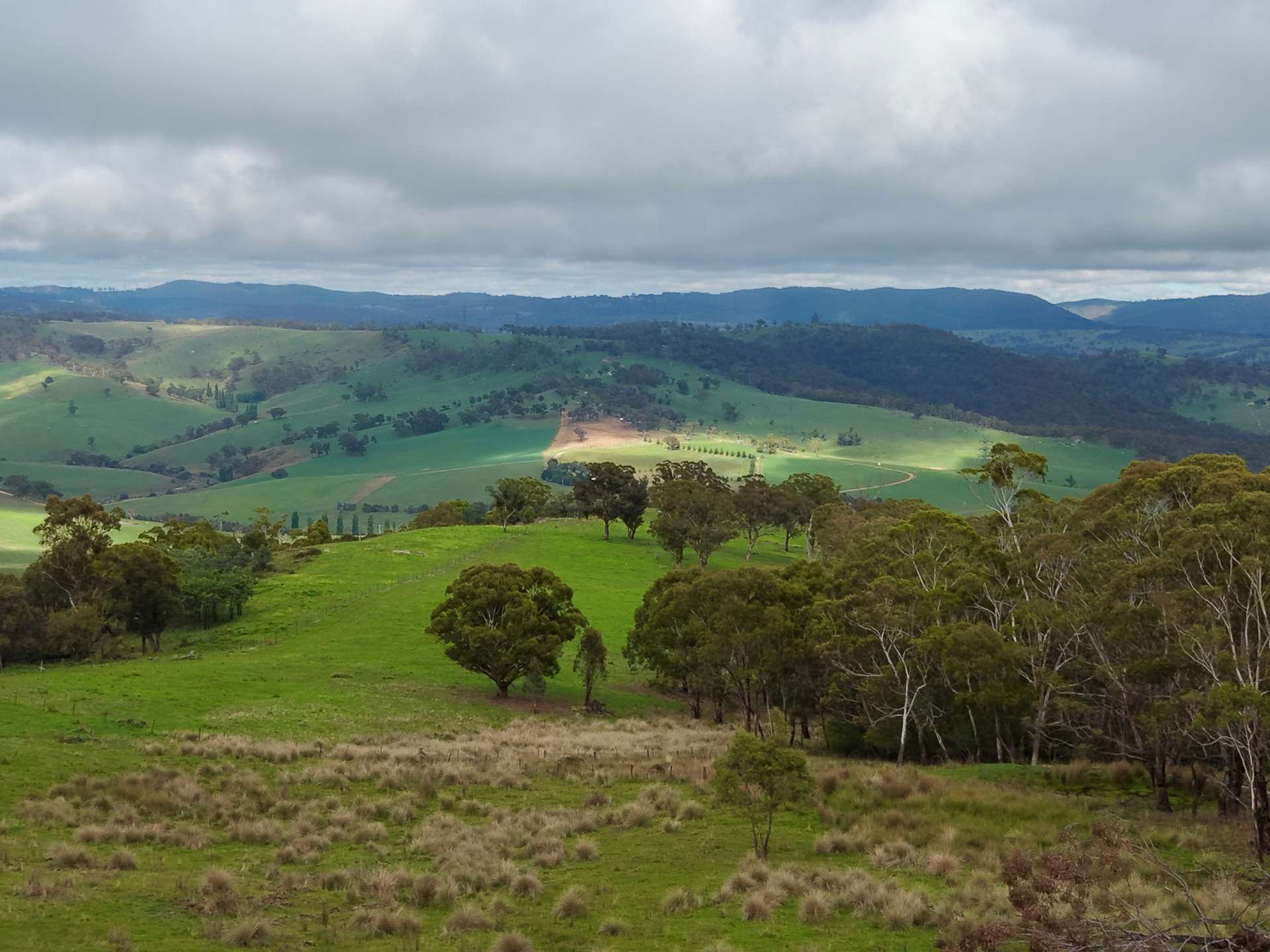 Lot 2 - 410 Honeysuckle Falls Road, Tarana For Sale by Farmbuy.com - image 23