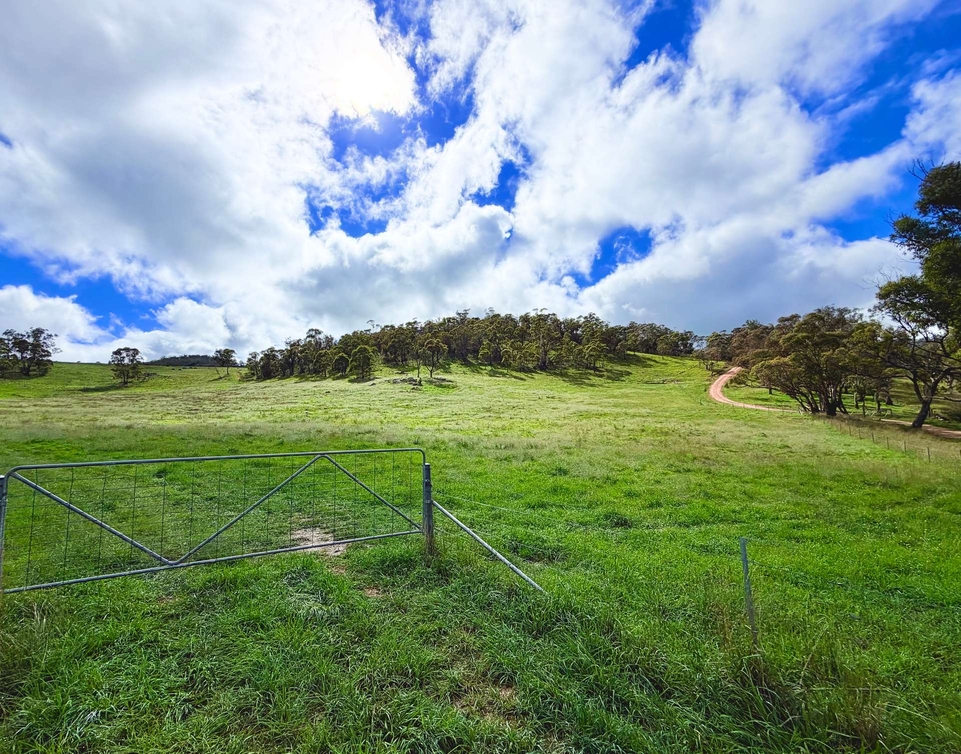 Lot 2 - 410 Honeysuckle Falls Road, Tarana For Sale by Farmbuy.com - image 16
